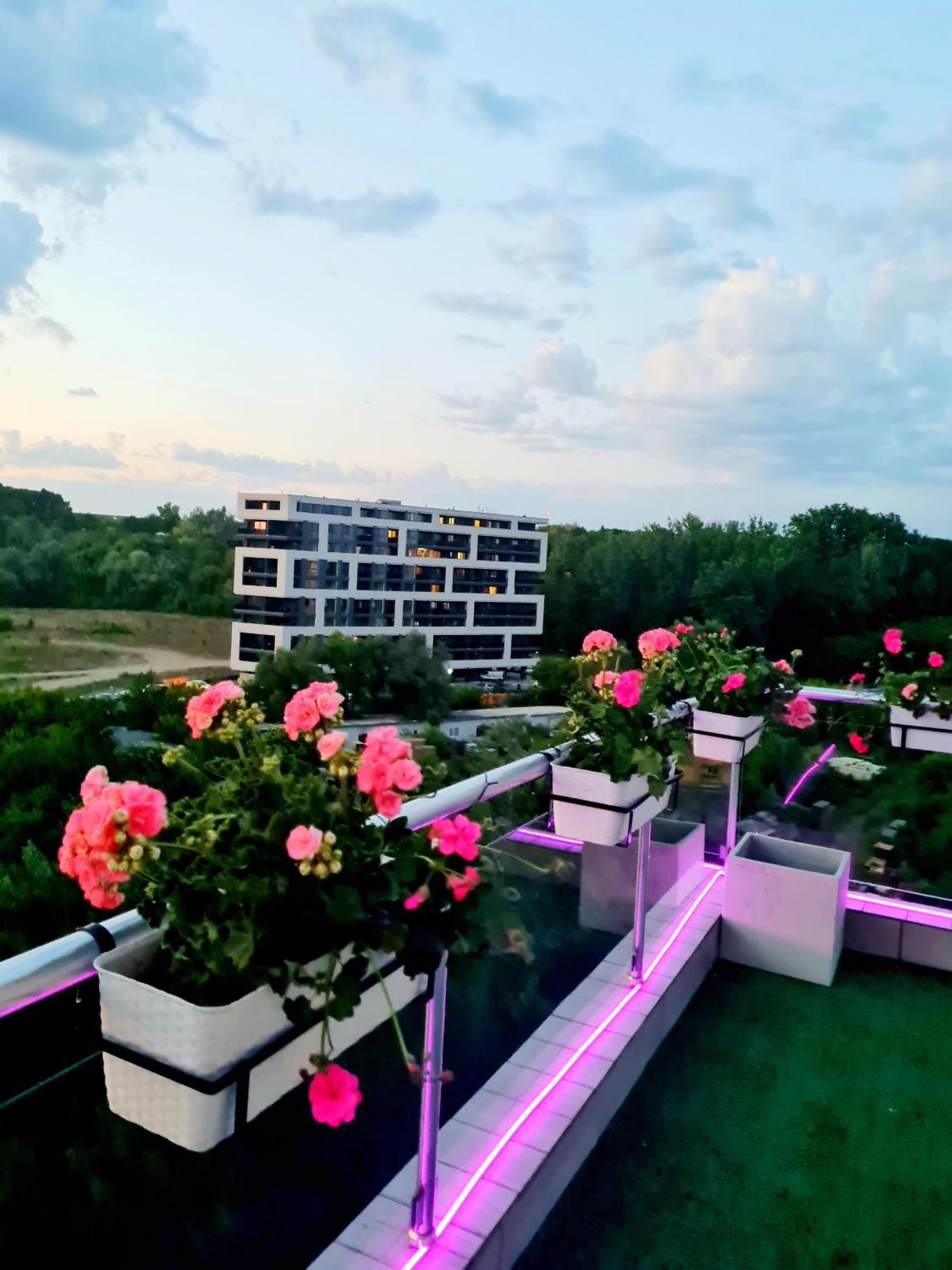 Penthouse View Aeroport Iasi 2 Apartment ภายนอก รูปภาพ