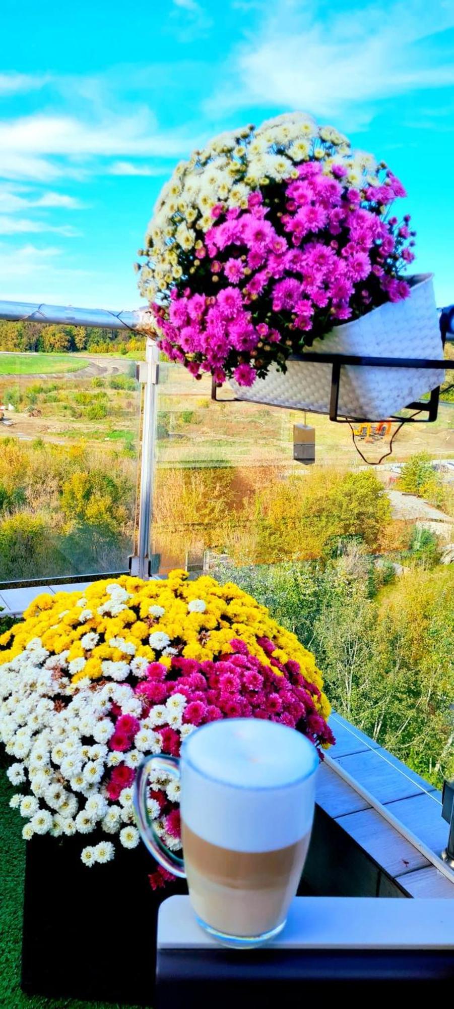 Penthouse View Aeroport Iasi 2 Apartment ภายนอก รูปภาพ